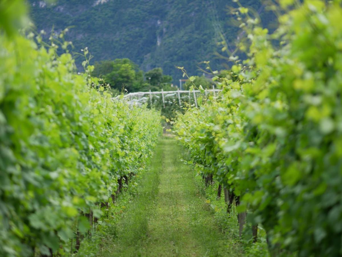 Agriturismo Casa Di Campagna リーヴァ・デル・ガルダ エクステリア 写真