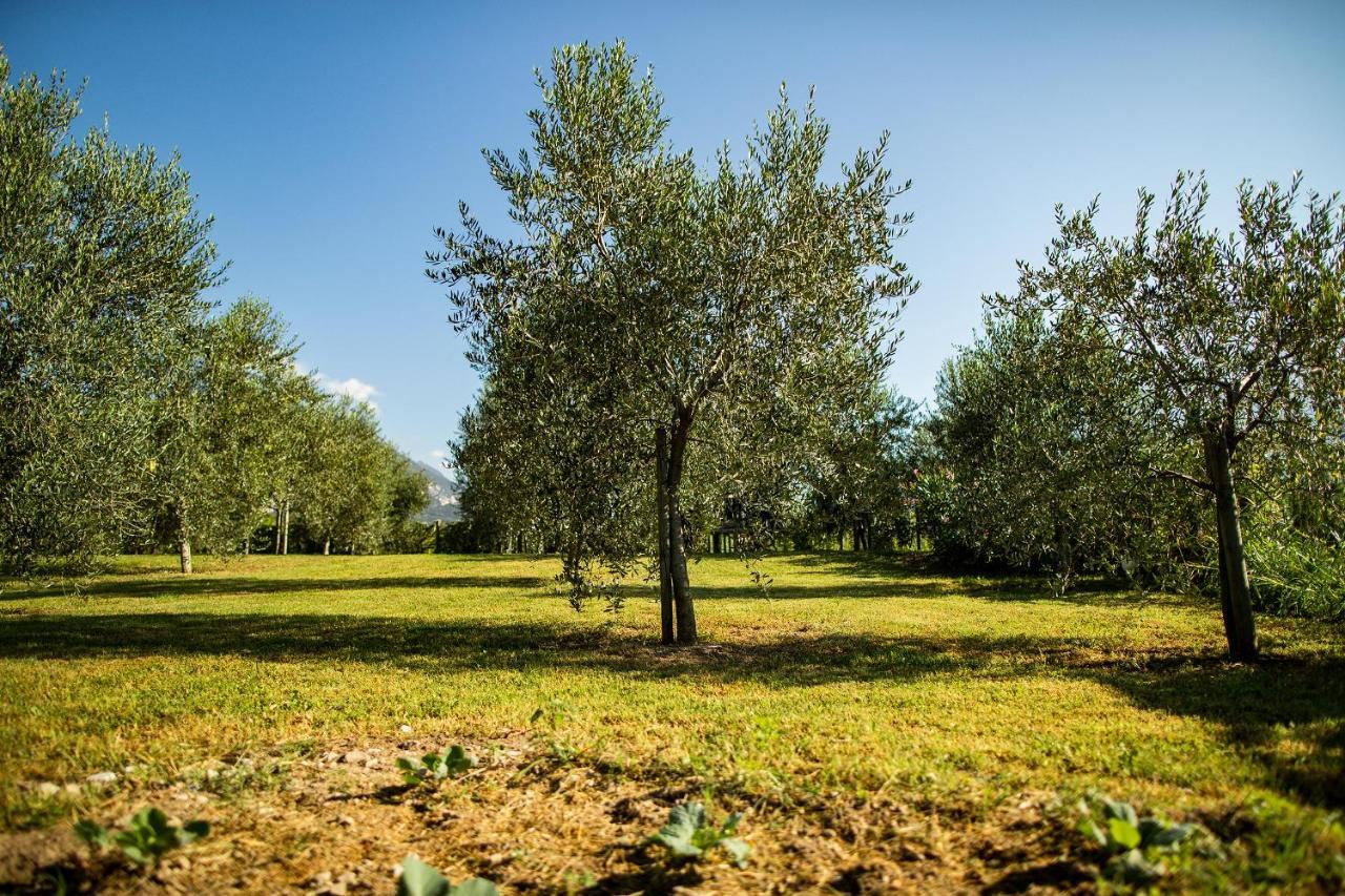 リーヴァ・デル・ガルダ Agriturismo Casa Di Campagnaヴィラ エクステリア 写真