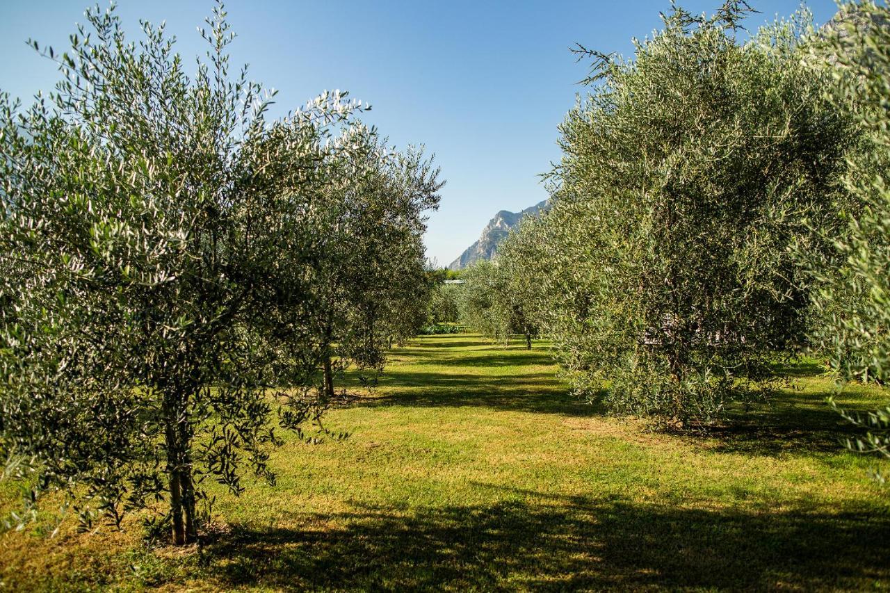 リーヴァ・デル・ガルダ Agriturismo Casa Di Campagnaヴィラ エクステリア 写真