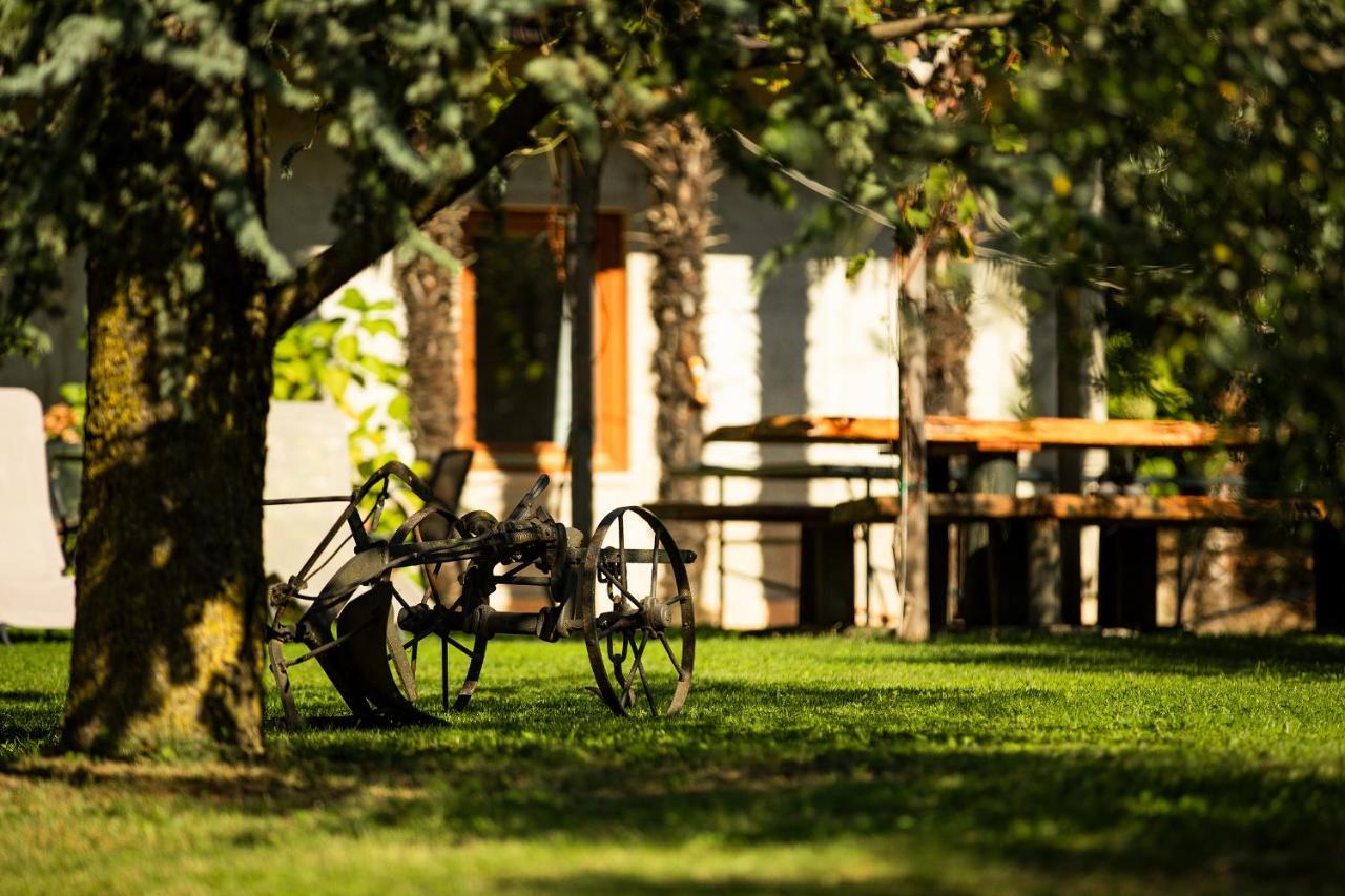 リーヴァ・デル・ガルダ Agriturismo Casa Di Campagnaヴィラ エクステリア 写真