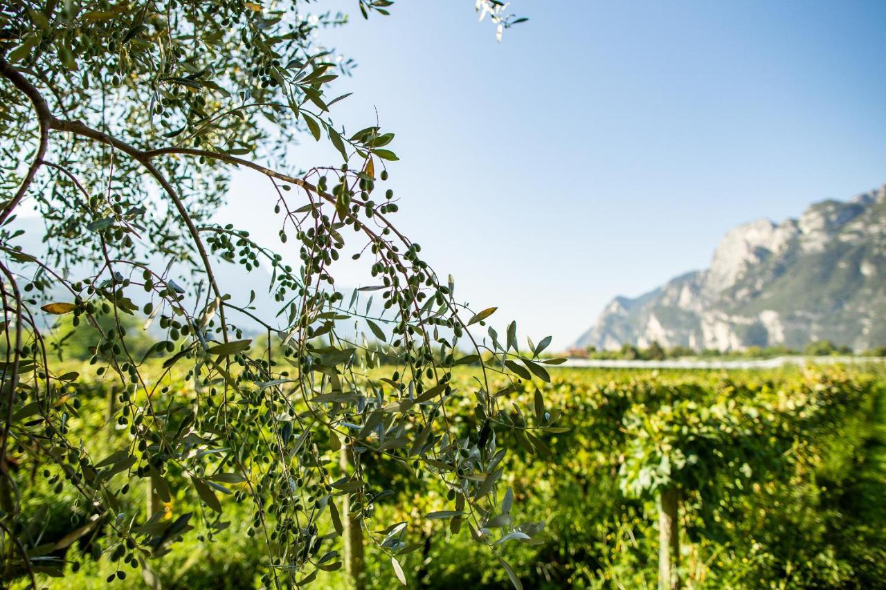 リーヴァ・デル・ガルダ Agriturismo Casa Di Campagnaヴィラ エクステリア 写真