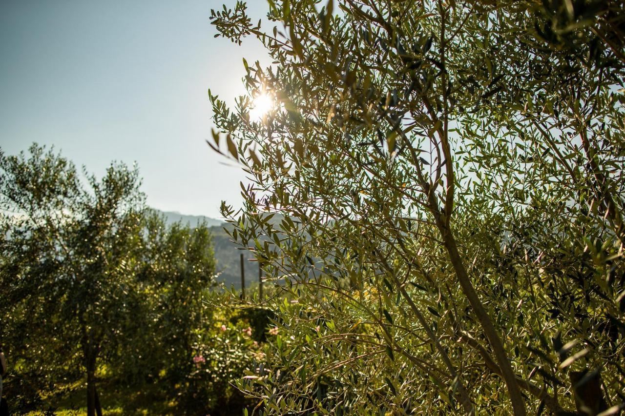 Agriturismo Casa Di Campagna リーヴァ・デル・ガルダ エクステリア 写真
