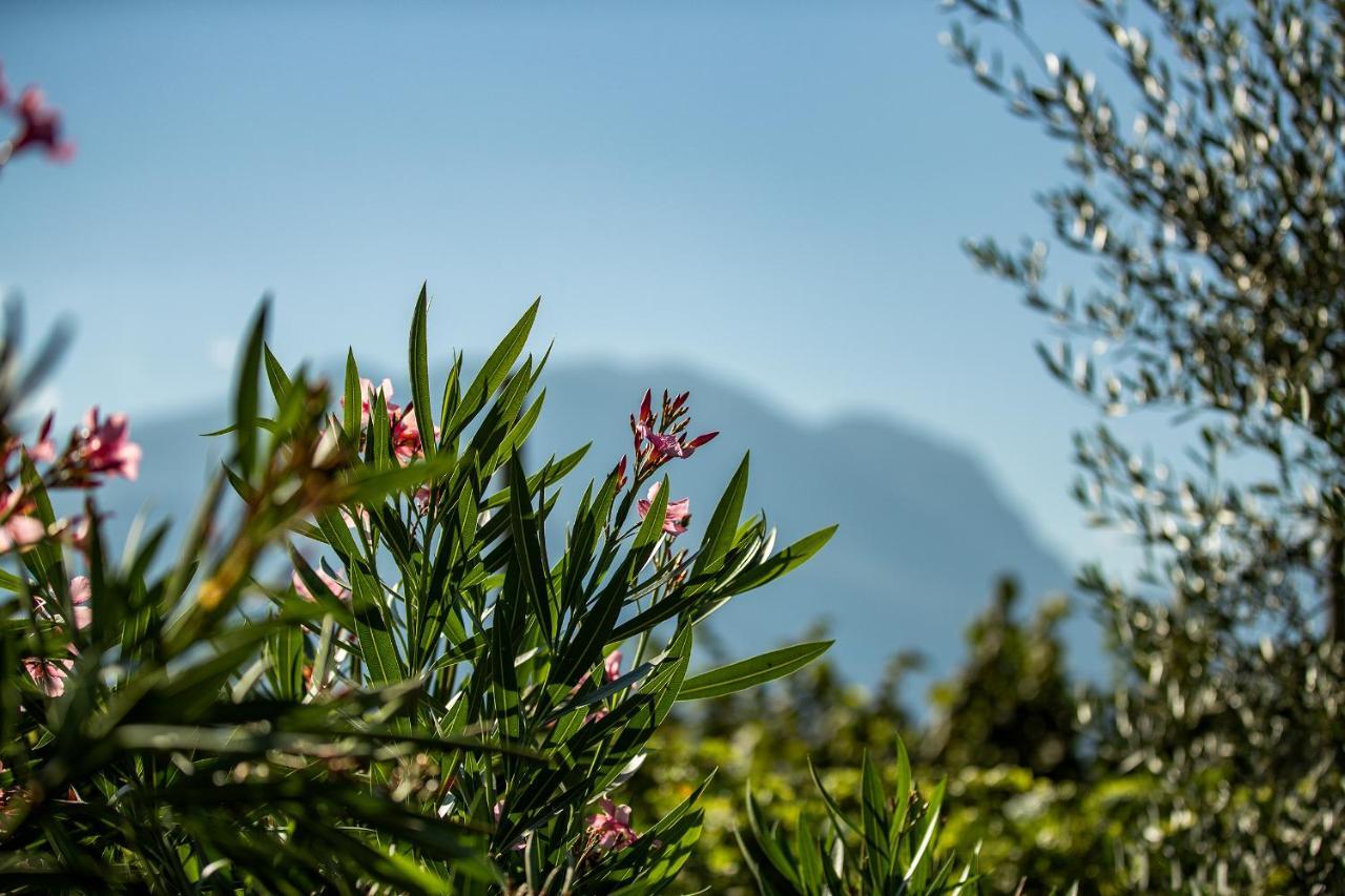 Agriturismo Casa Di Campagna リーヴァ・デル・ガルダ エクステリア 写真